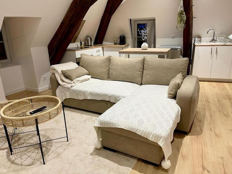 Appartement Cosy Centre Ville Saint-Amand-Mont-Rond Kültér fotó